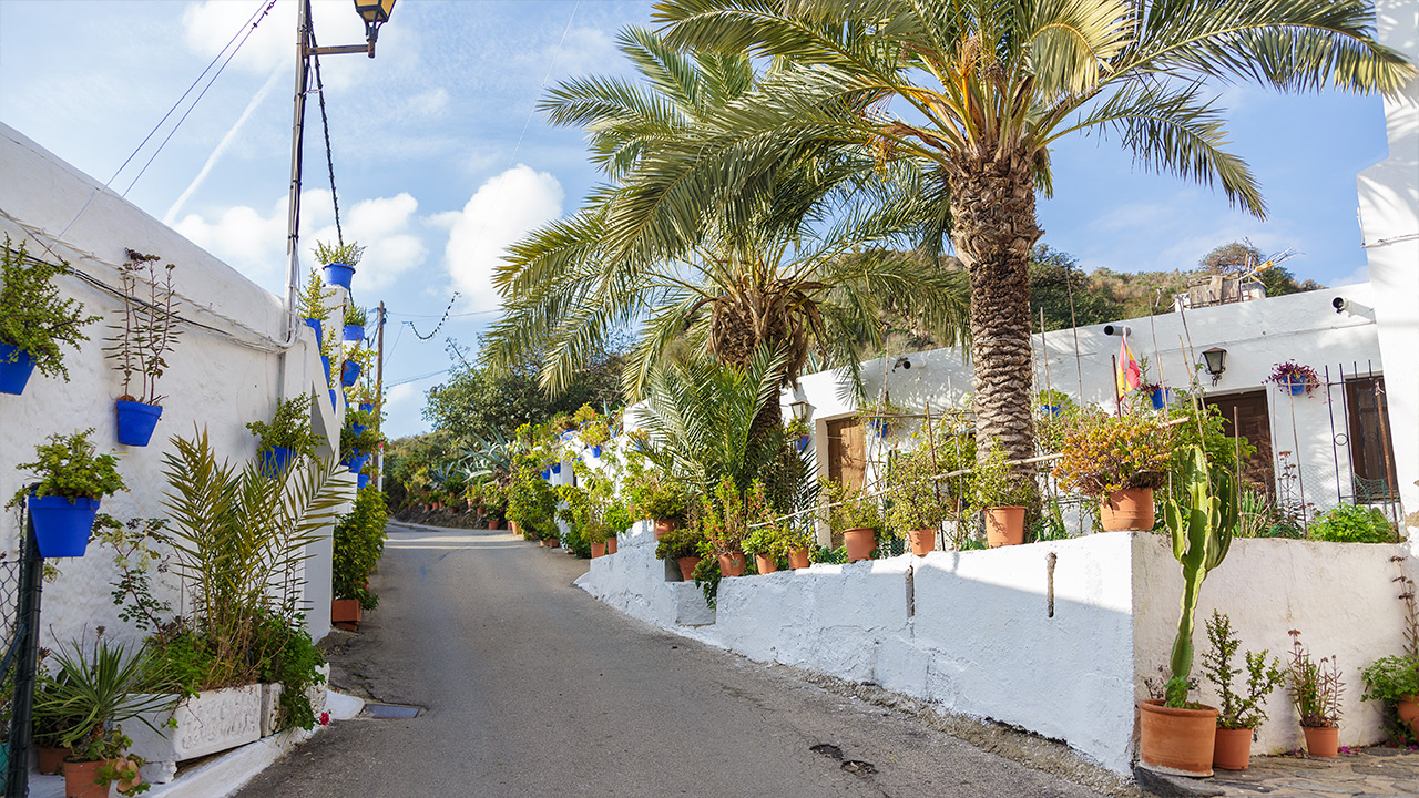Calle de Sopalmo (Mojácar) - Fuente: Mojacar.es Calle de Sopalmo