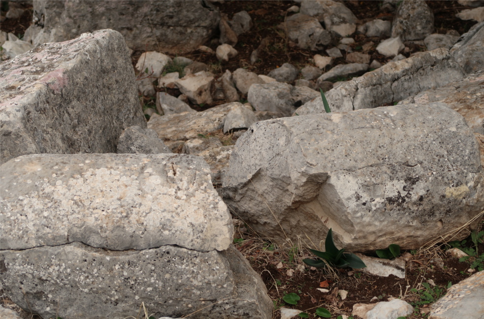 Posible menhir tallado de forma cilíndrica junto a gran bloque con esquinas bien delimitadas Posible menhir tallado de forma cilíndrica junto a gran bloque con esquinas bien delimitadas