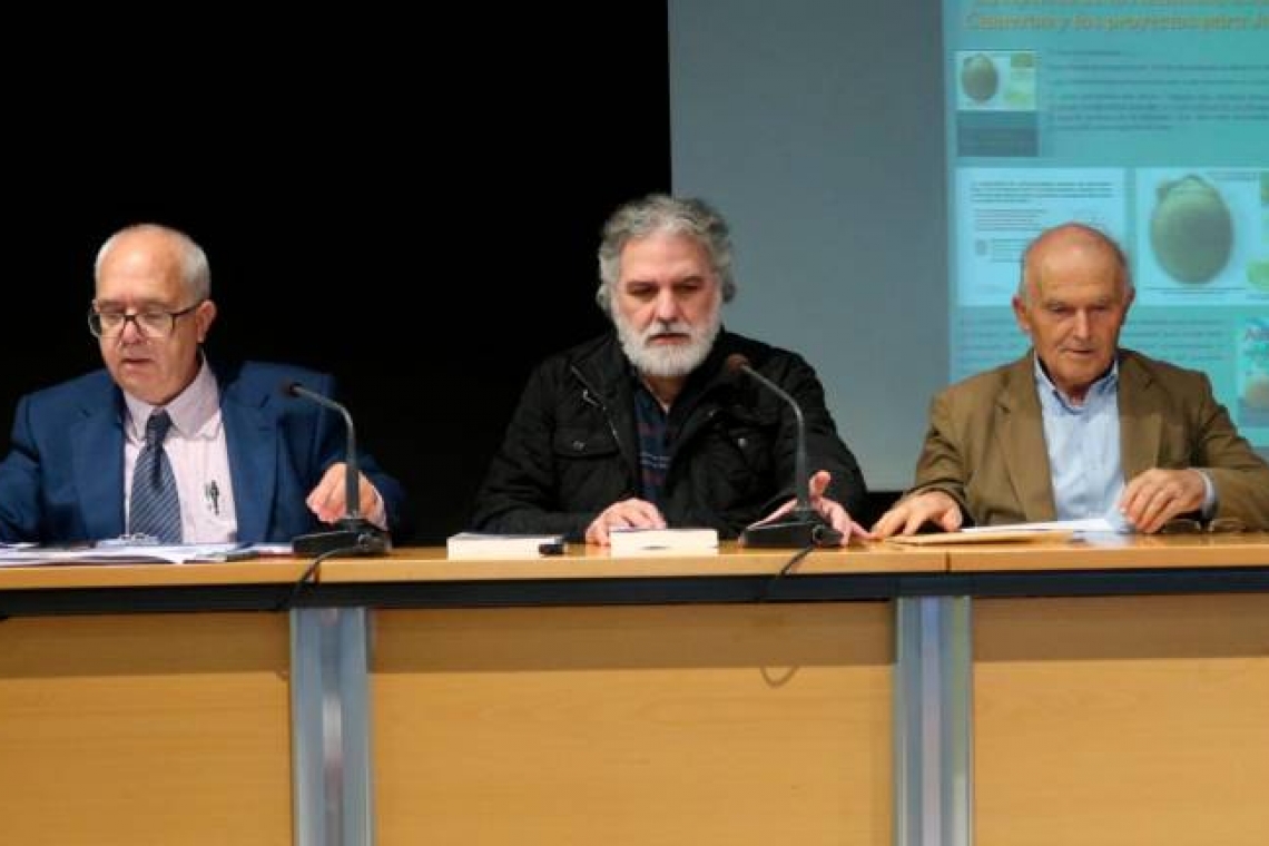 Defienden ante la Unesco que Jaén sea declarada una de las ciudades más antiguas del continente