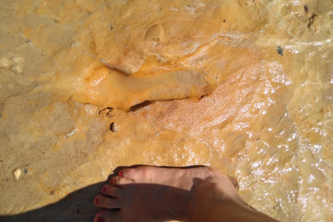 Identifican en Huelva las pisadas neandertales más antiguas del Pleistoceno superior