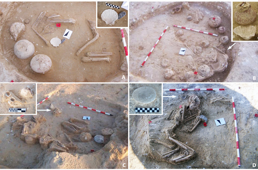 Selección de estructuras funerarias de Valencina con moluscos marinos - Fuente: La fauna del sector PP4-Montelirio. Corina Liessau et alii Selección de estructuras funerarias de Valencina con moluscos marinos - Fuente: La fauna del sector PP4-Montelirio. Corina Liessau et alii