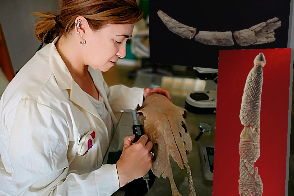 Entrevista a la arqueóloga Ana Pajuelo. Valencina de la Concepción y la arqueozoología