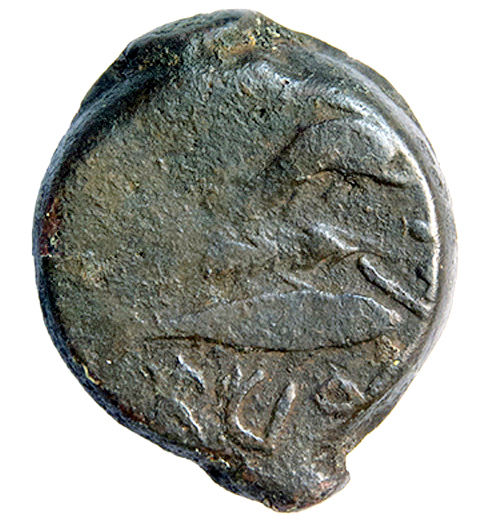 Moneda de Alba/Albatha ¿Abla? - monedaiberica.org Moneda de Alba/Albatha ¿Abla? - monedaiberica.org