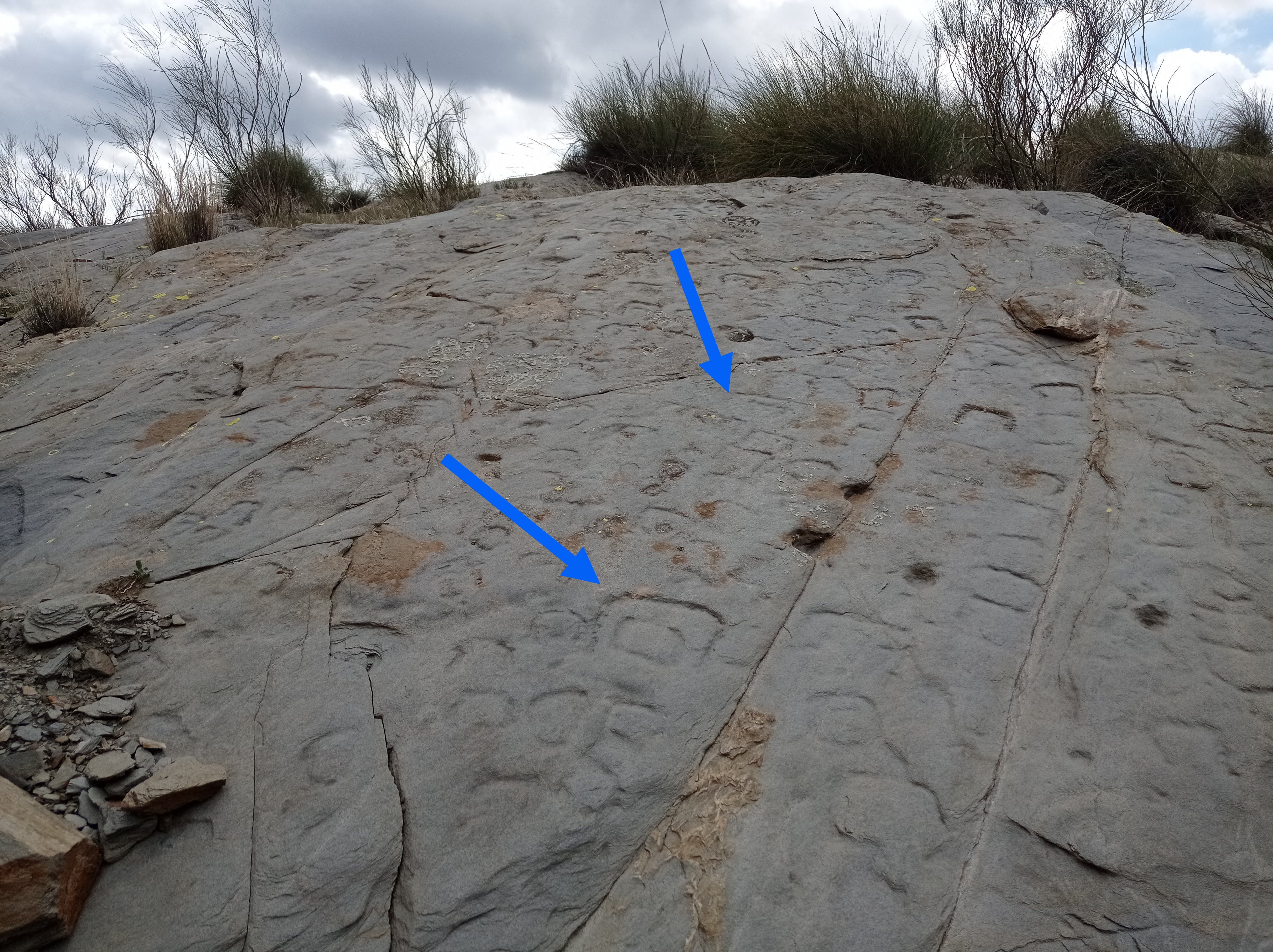 Piedra Escrita de Velefique con signos líbicos de tipo D+R (R dentro de D) marcados Piedra Escrita de Velefique con signos líbicos de tipo D+R (R dentro de D) marcados