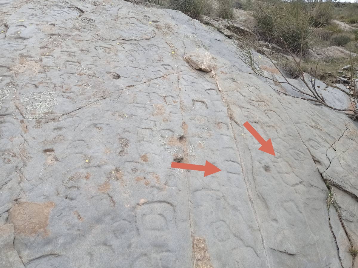 Piedra Escrita de Velefique con signos líbicos de tipo B marcados Piedra Escrita de Velefique con signos líbicos de tipo B marcados